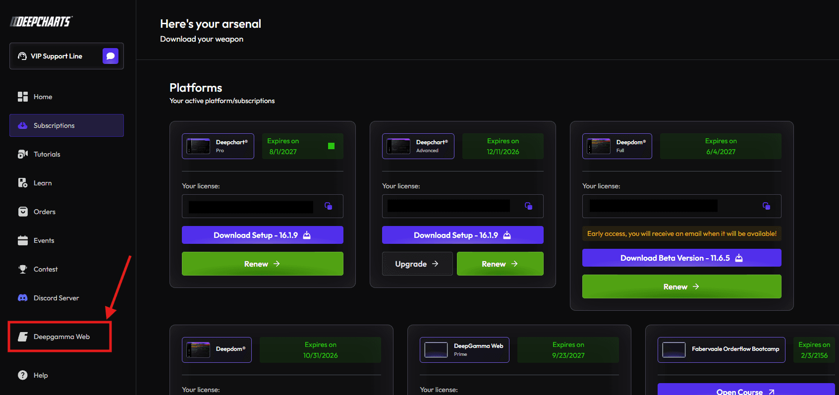 DeepGamma Web - Platform Overview. How to Access DeepGamma Web screenshot 2.