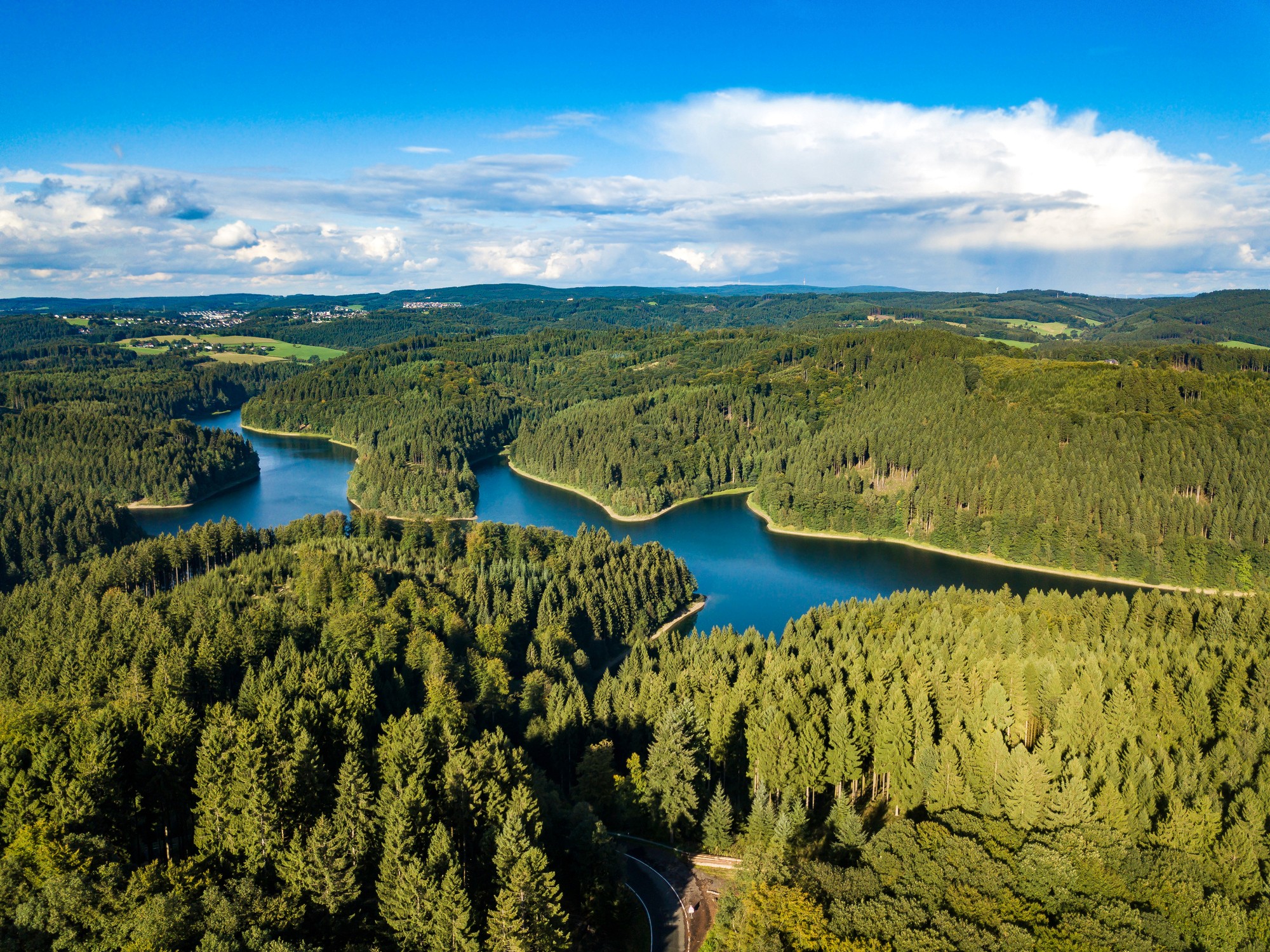 Drohnenaufnahme Landschaft mit See und Wald