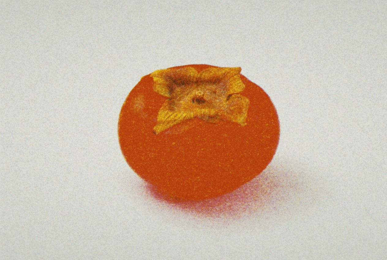 Persimmon