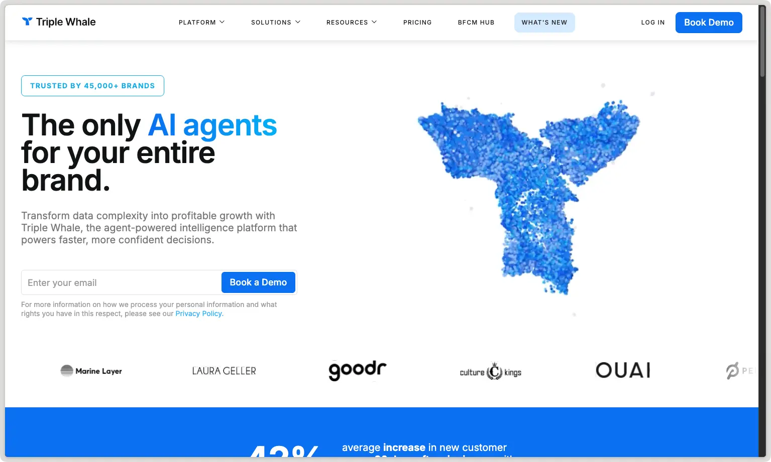 triple whale, best ecommerce ai agent for marketing & analytics