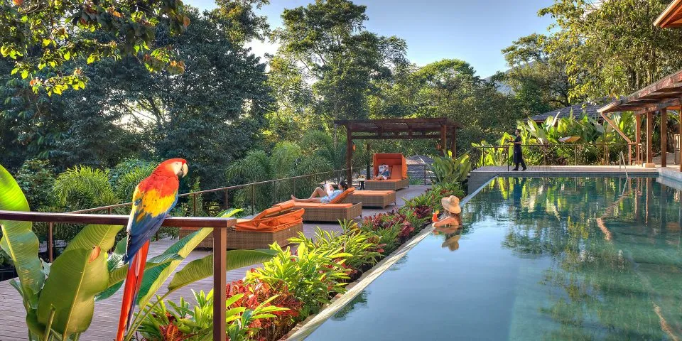 Costa Rican Adventure