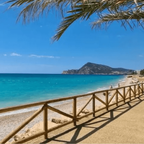 Tropical Beach