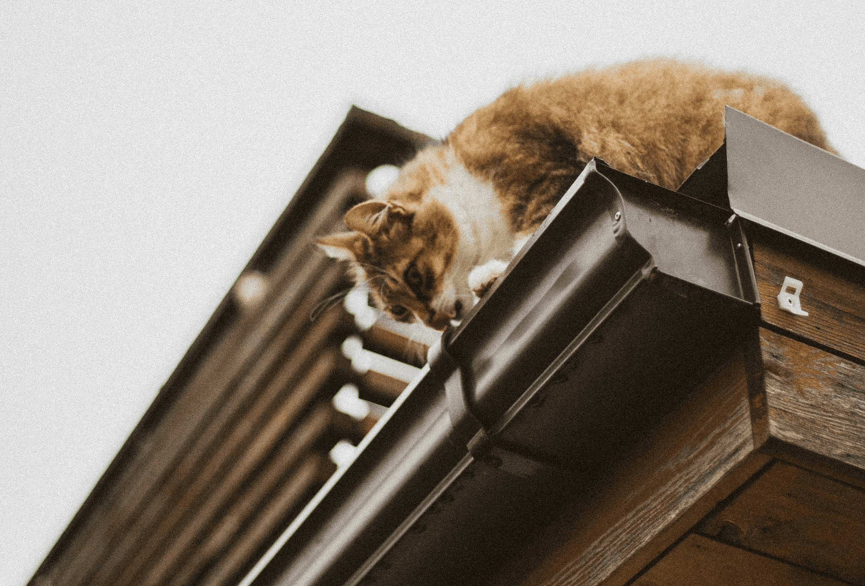 Photo by Rūta Celma
