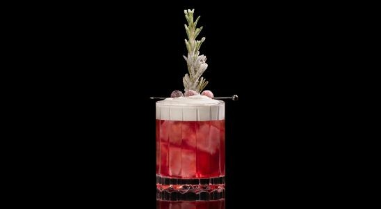 A closeup of a Sweet, Winter Cranberry Whip drink against a dark background.
