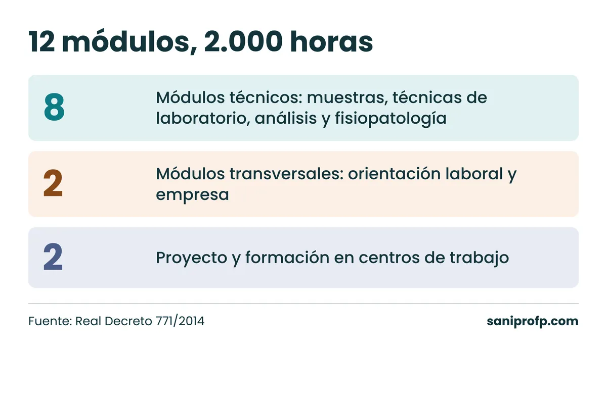 Los 12 módulos del ciclo: 8 técnicos, 2 transversales, proyecto y formación en centros de trabajo