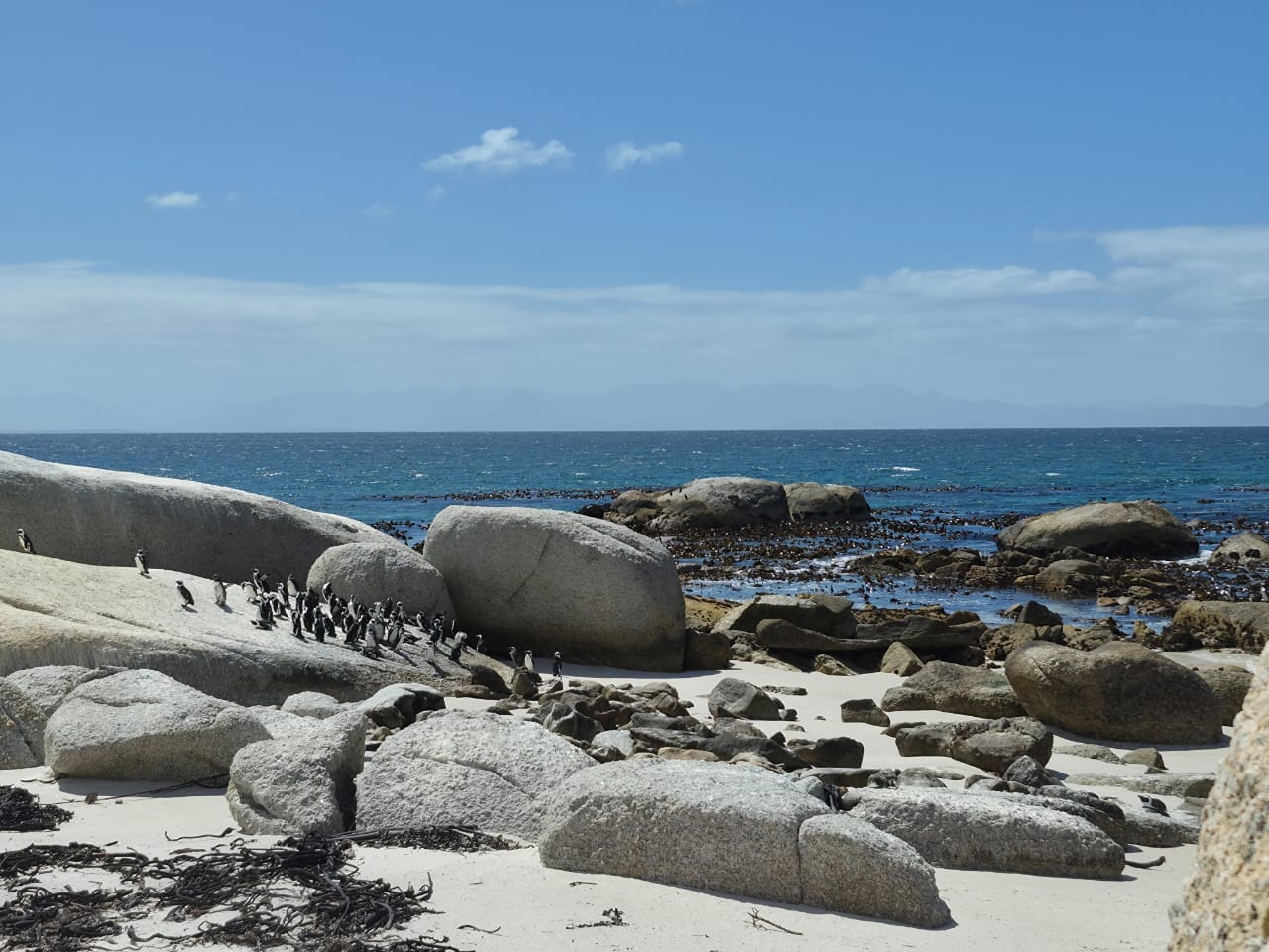Wide angle image of giant light grey smooth boulders on a beach with penguins visible and the ocean water behind them.