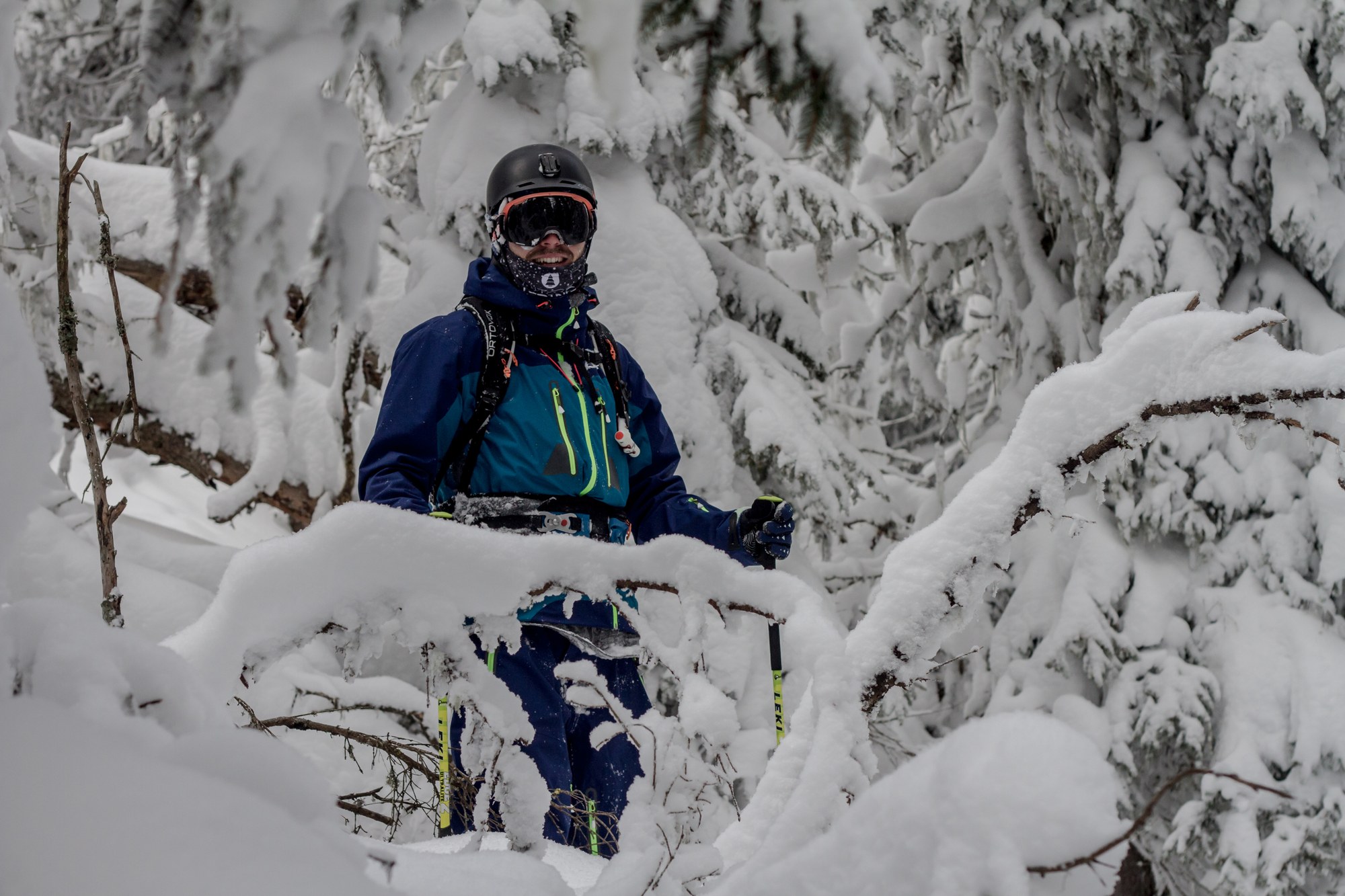 Deep powder tree run in snow-covered forest — snow falls extremely locally in this region, the Salzburg side gets considerably more than the Chiemgau