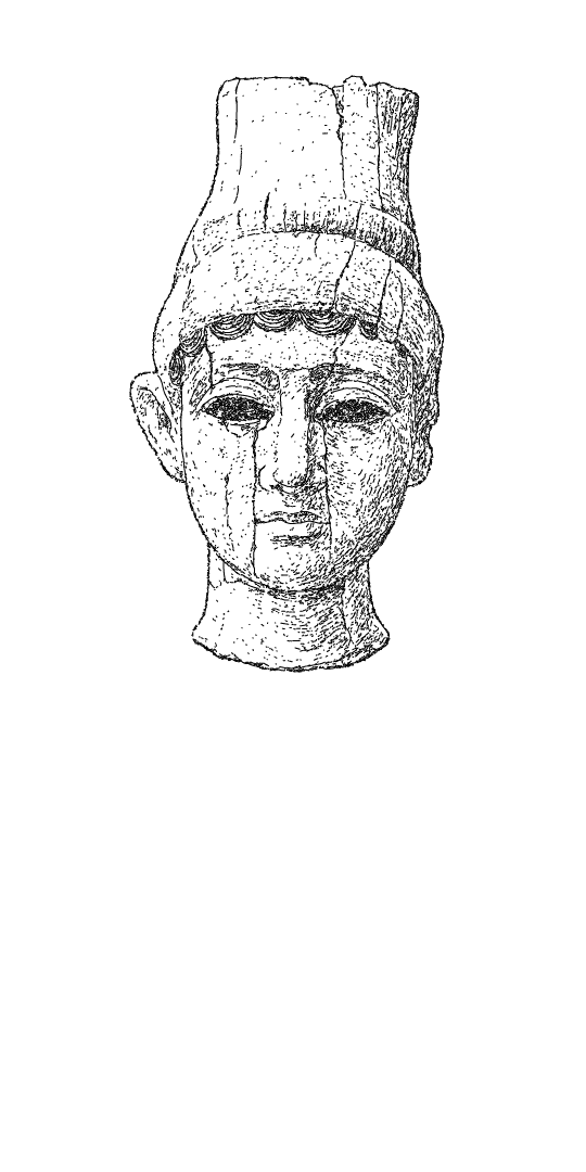 Illustration of Octopus tentacles