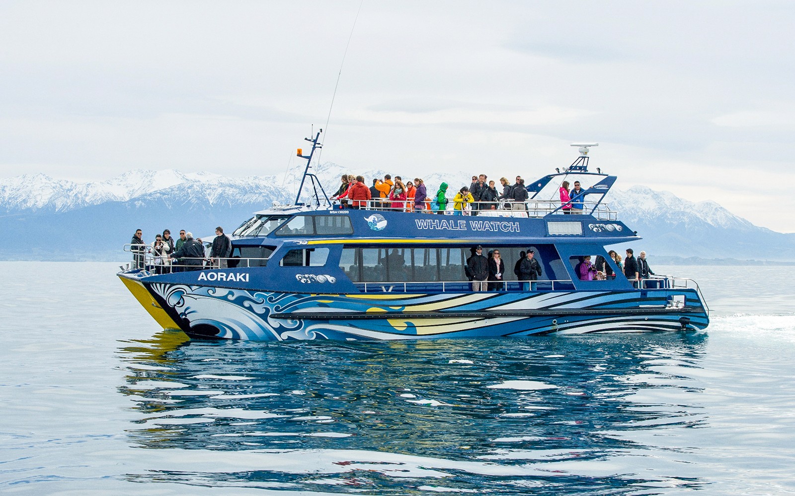Walbeobachtungsboot mit Touristen in Kaikoura, Neuseeland, schneebedeckte Berge im Hintergrund.
