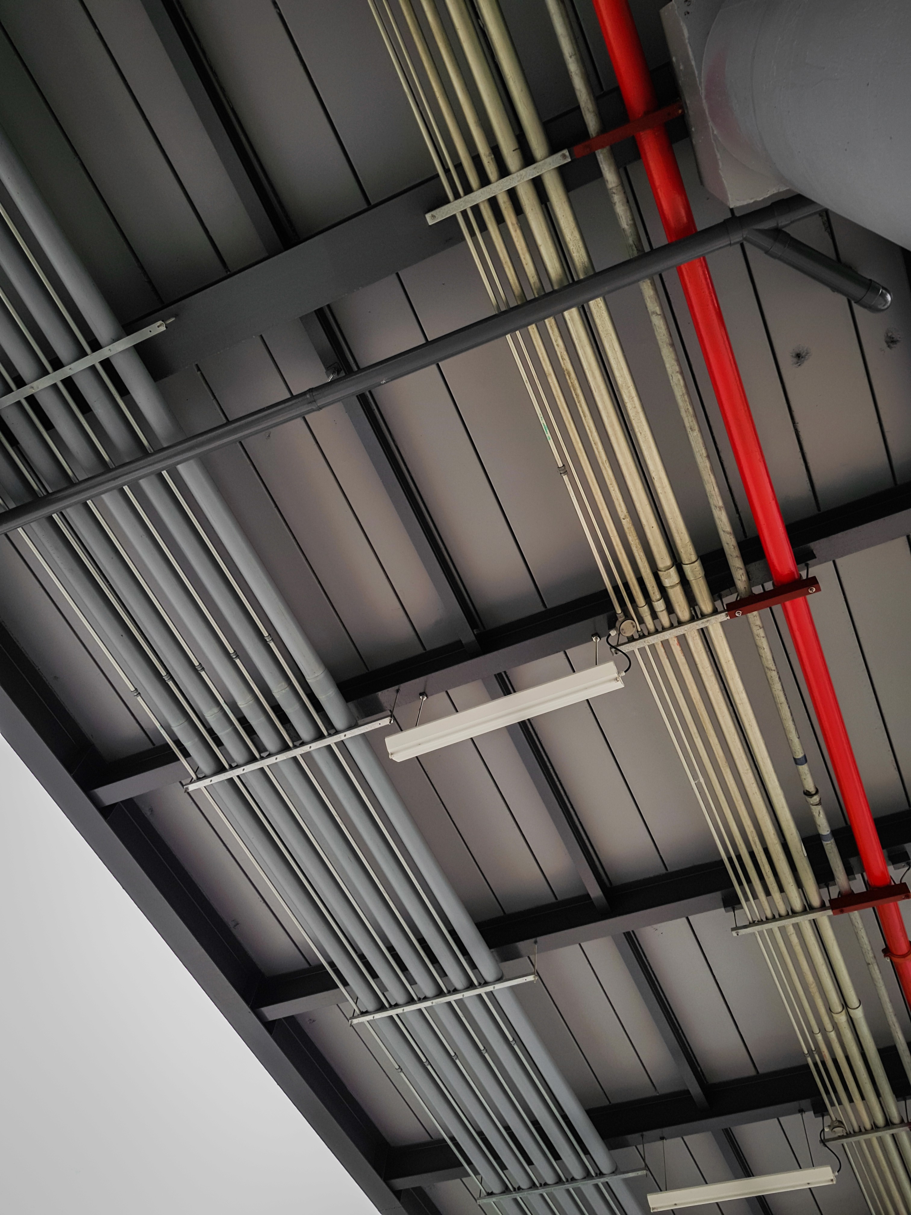 An industrial looking roof, with pipes running across, with fire alarm wire inside.