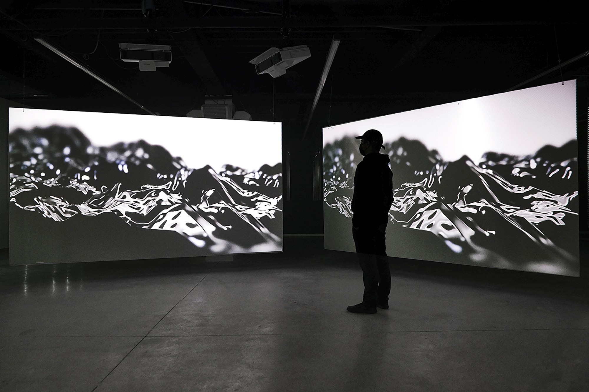 Autoescopia. Abstract digital landscape in black on white on two screens hanging from the ceiling of the room. Silhouette of a visitor against the light.