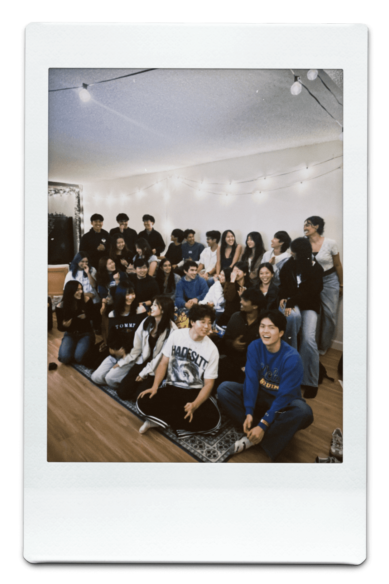 Vintage Car Under Palm Trees