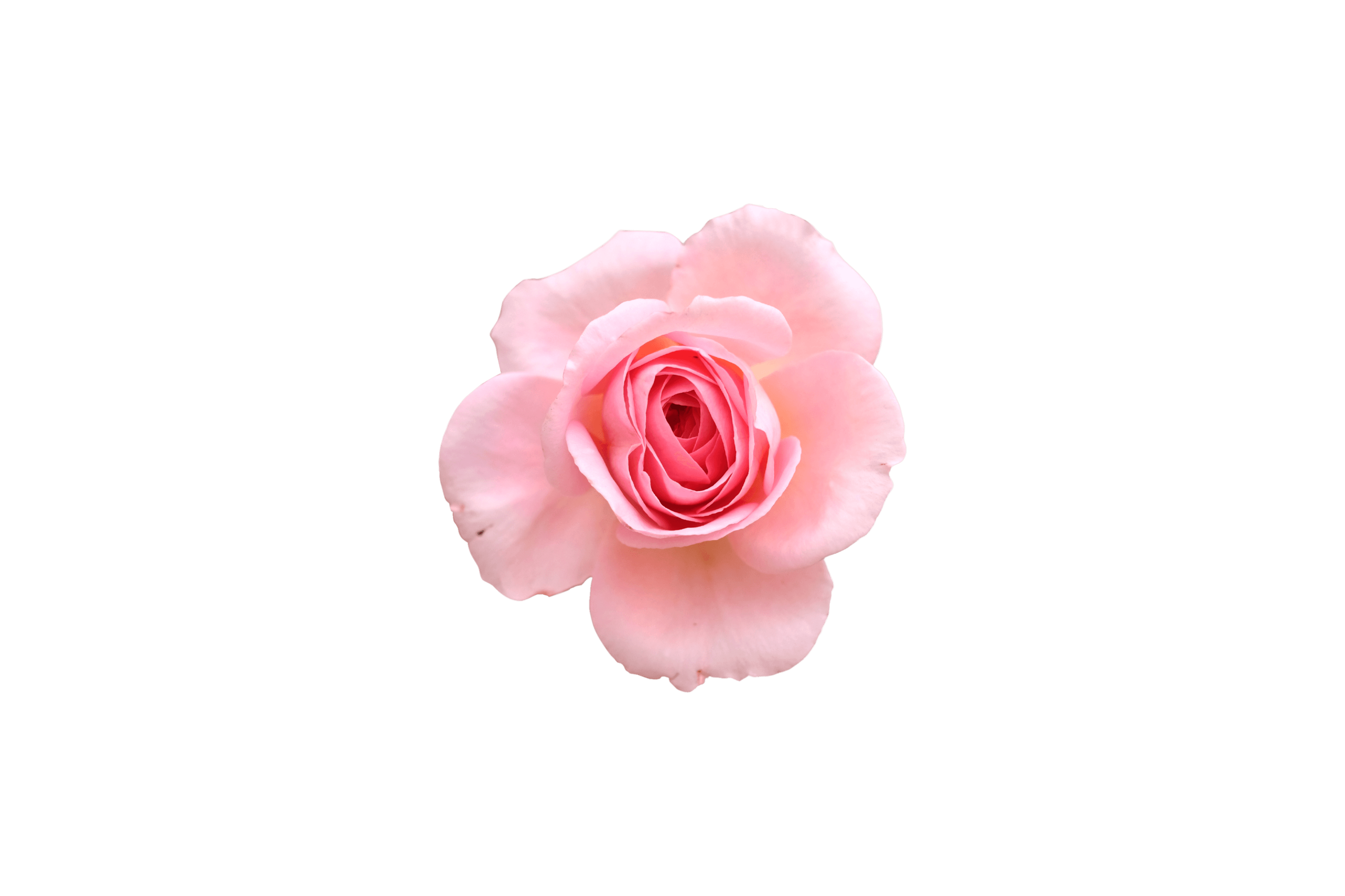 Amethyst & Gold Cable Accent Ring Preview 1