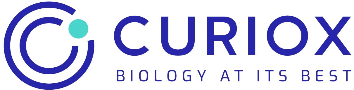 쿼타북 고객사 큐리옥스