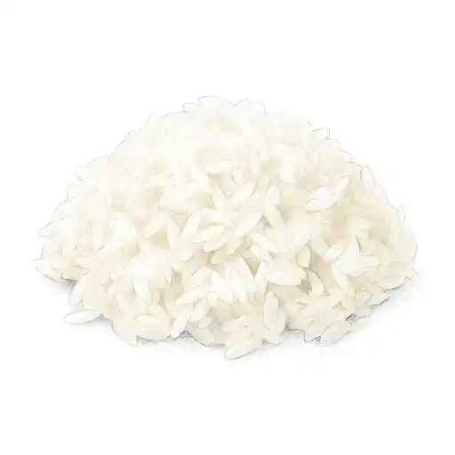 Pho Street Eats illustration of a mound of cooked white rice.