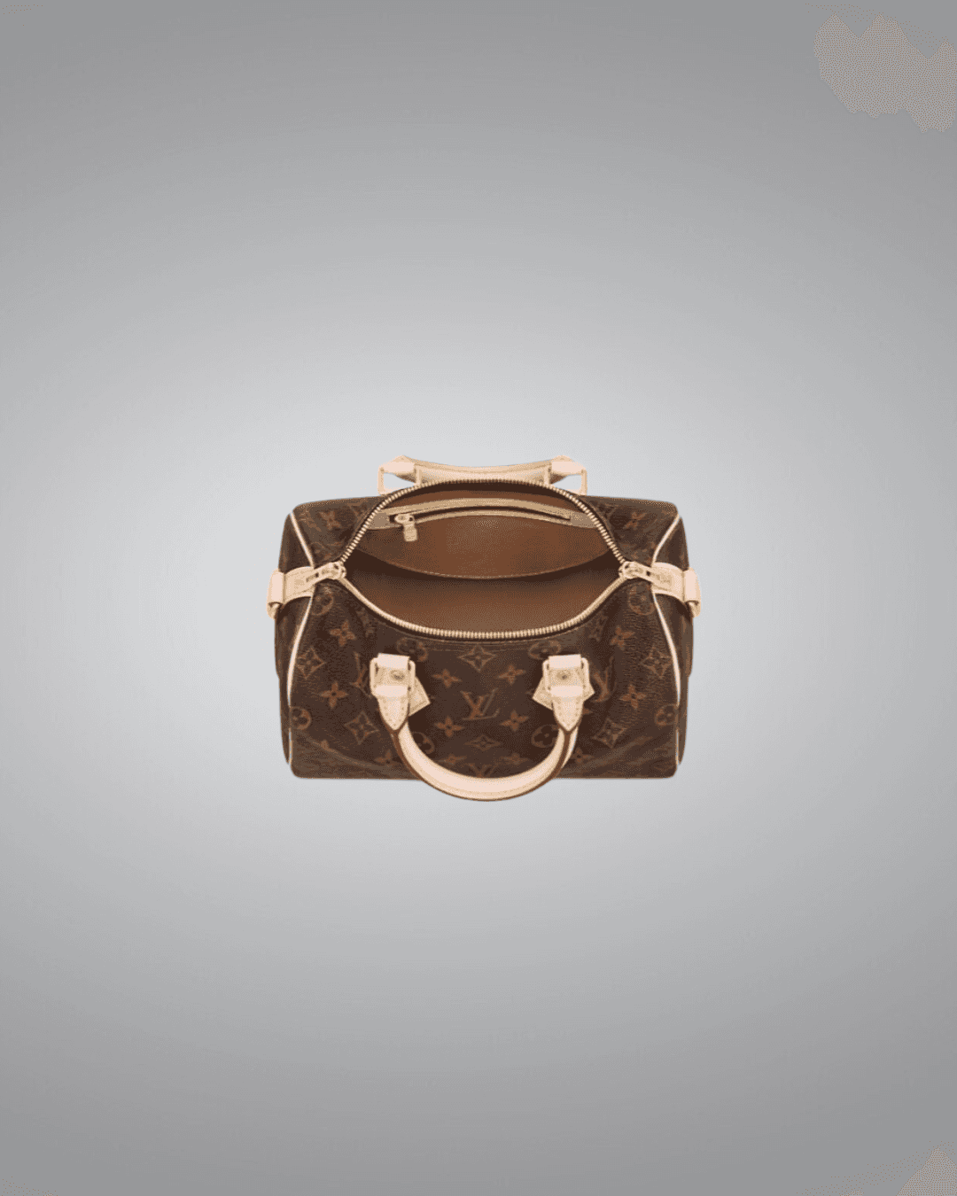 LV speedy 25 Handbag