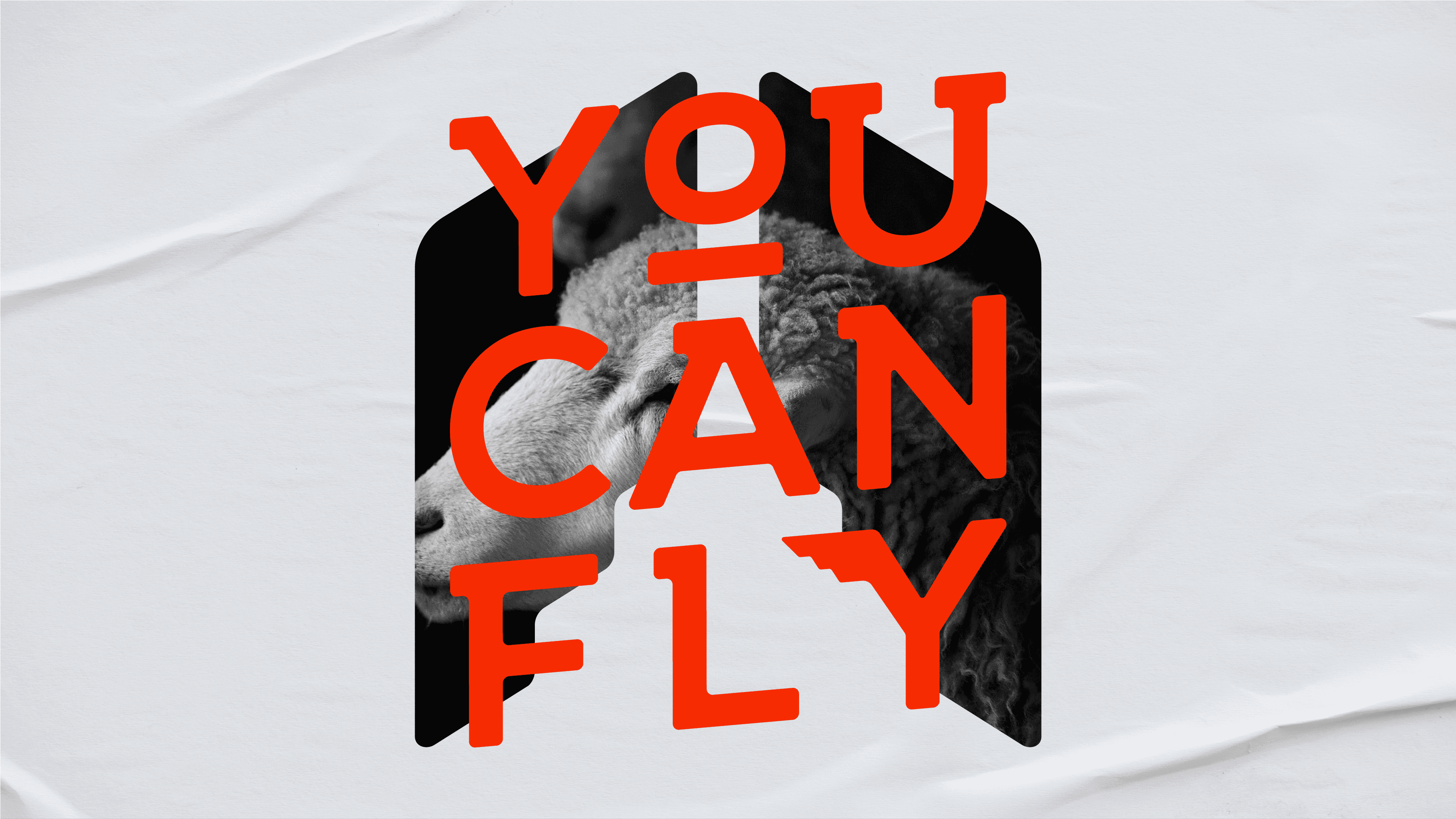 Black Sheep - You Can Fly