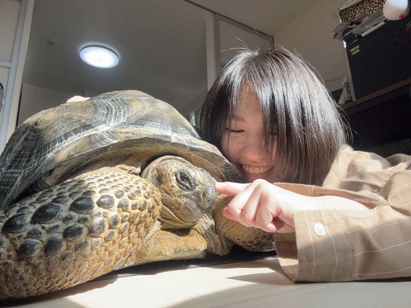 柑橘コウがカメと遊んでいる写真