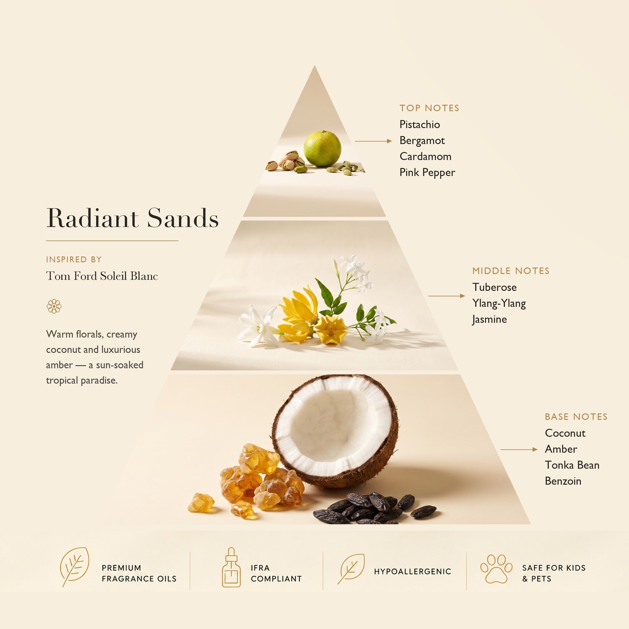 Radiant Sands fragrance notes pyramid