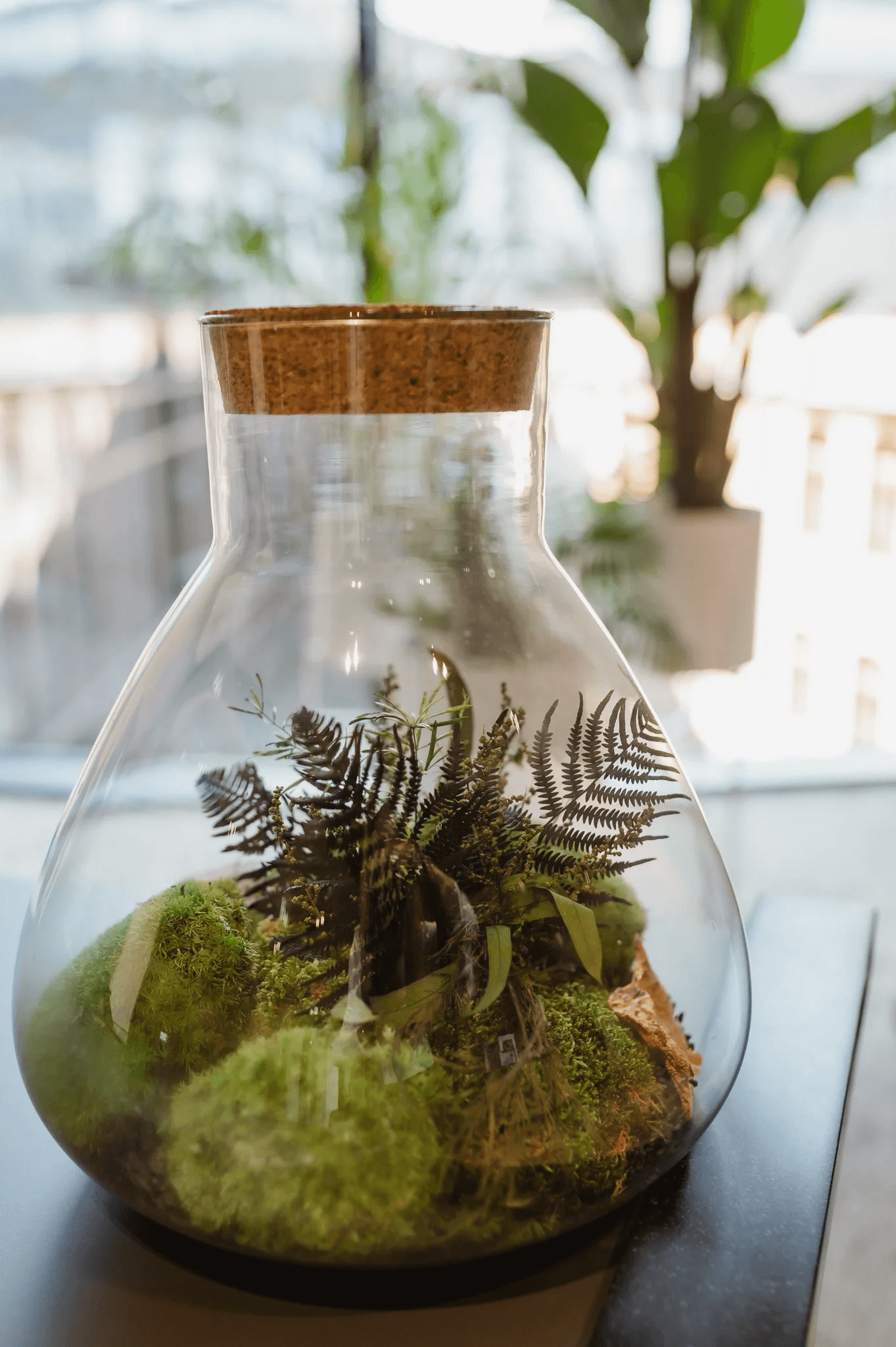 showcase firmy officejungle