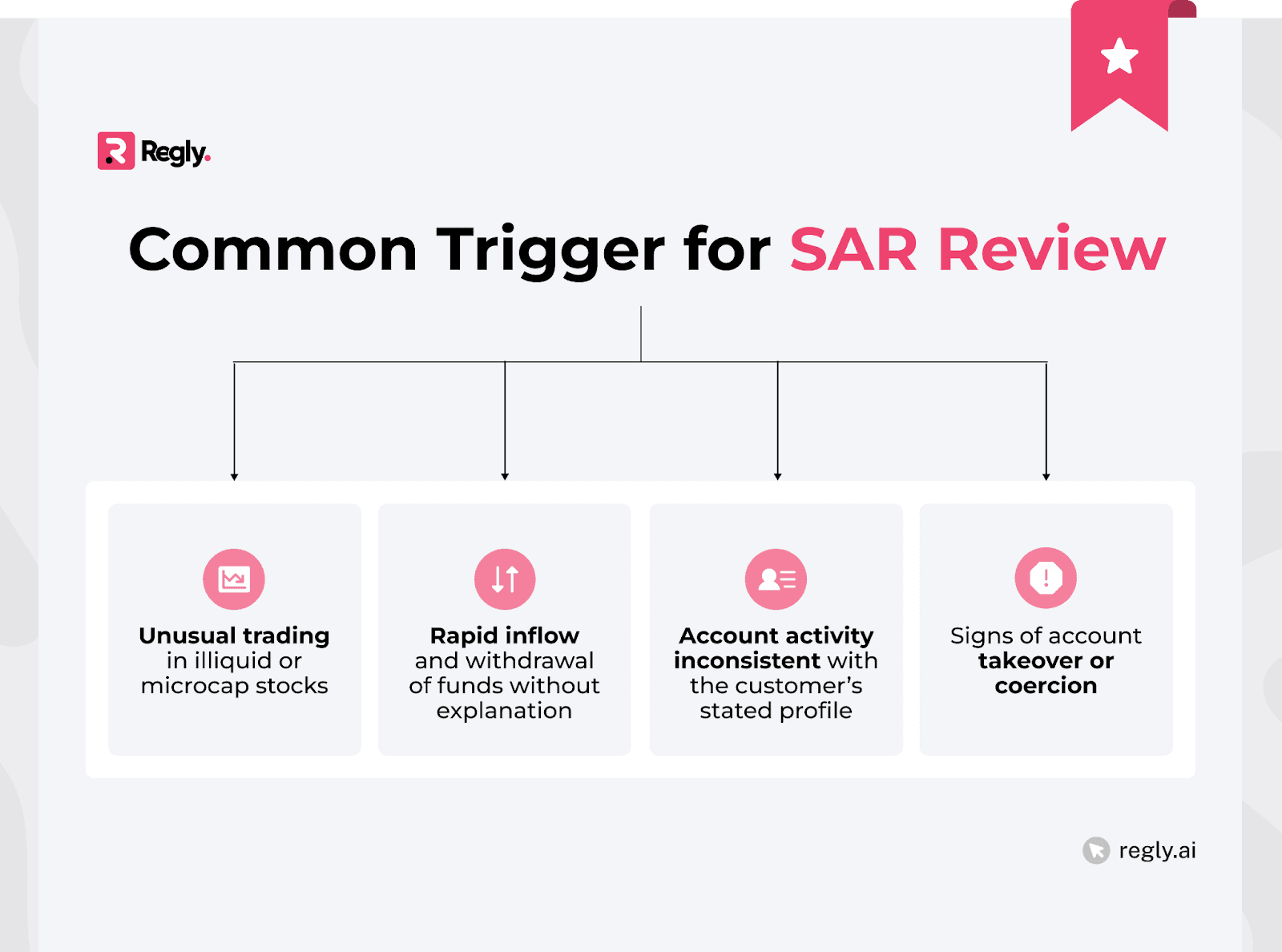 Suspicious Activity Monitoring Review