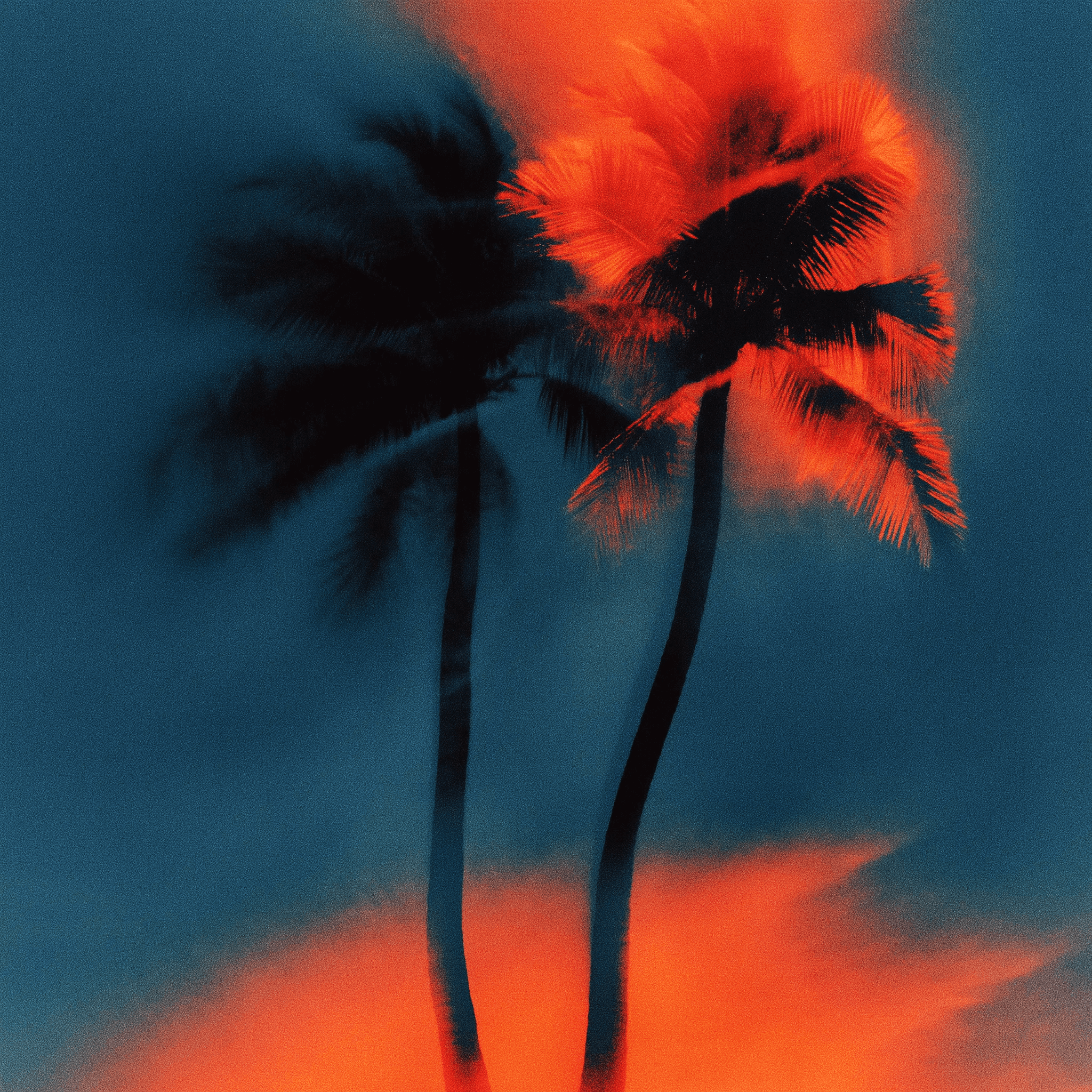 Two palm trees standing against a dark blue background with bright orange light radiating at the top and bottom.