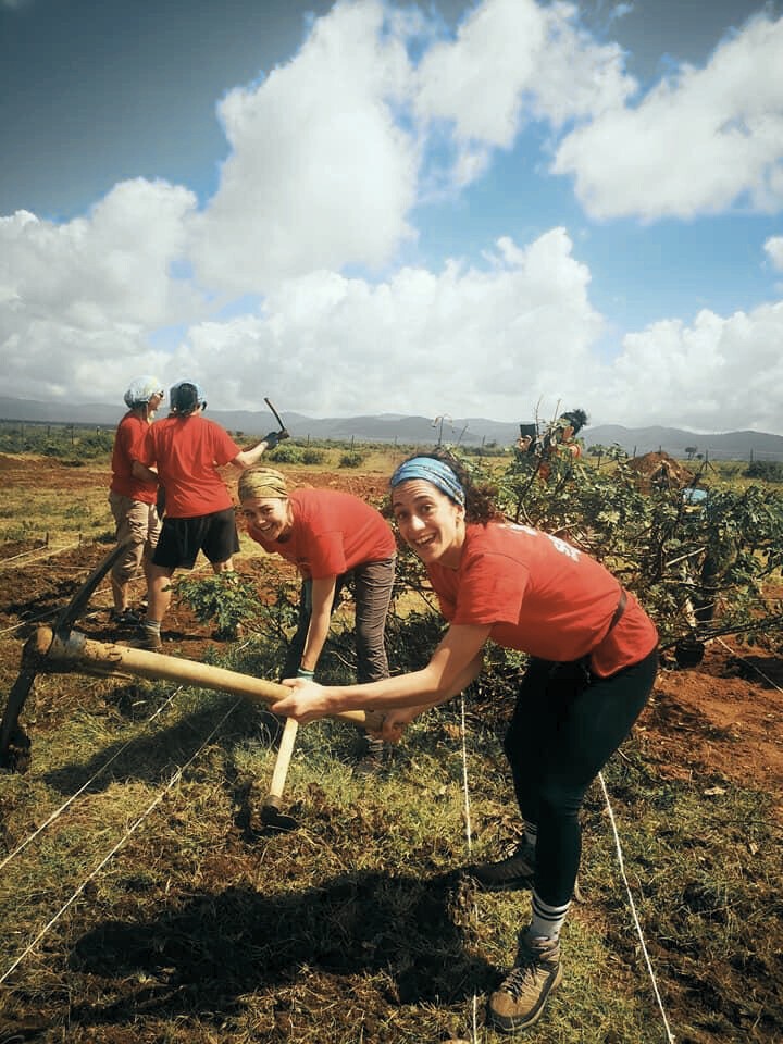 Aerial view of a winding road cutting through rocky terrain with patches of grass.