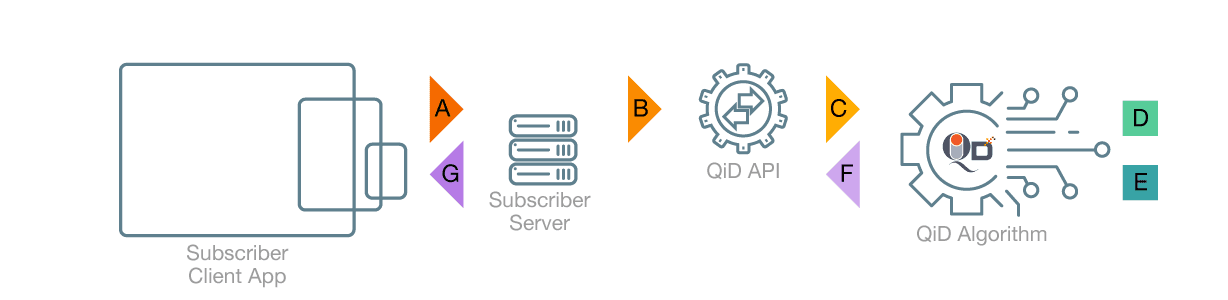 QiDaaS API workflow illustration