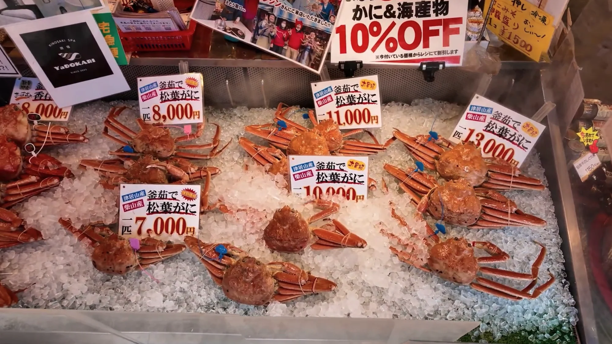 Kinosaki Matsuba Crabs