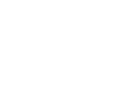 Crystal Head
