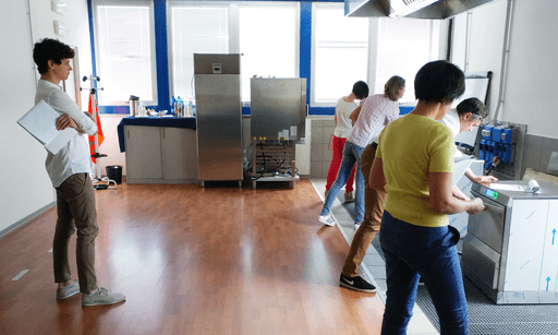 Portrait of a small brown dog on yellow background
