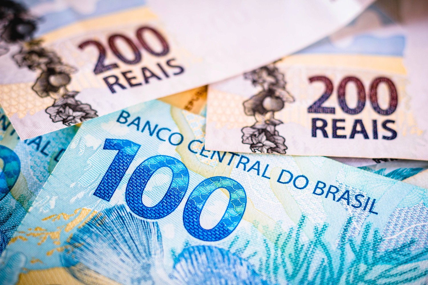 cedulas de reais