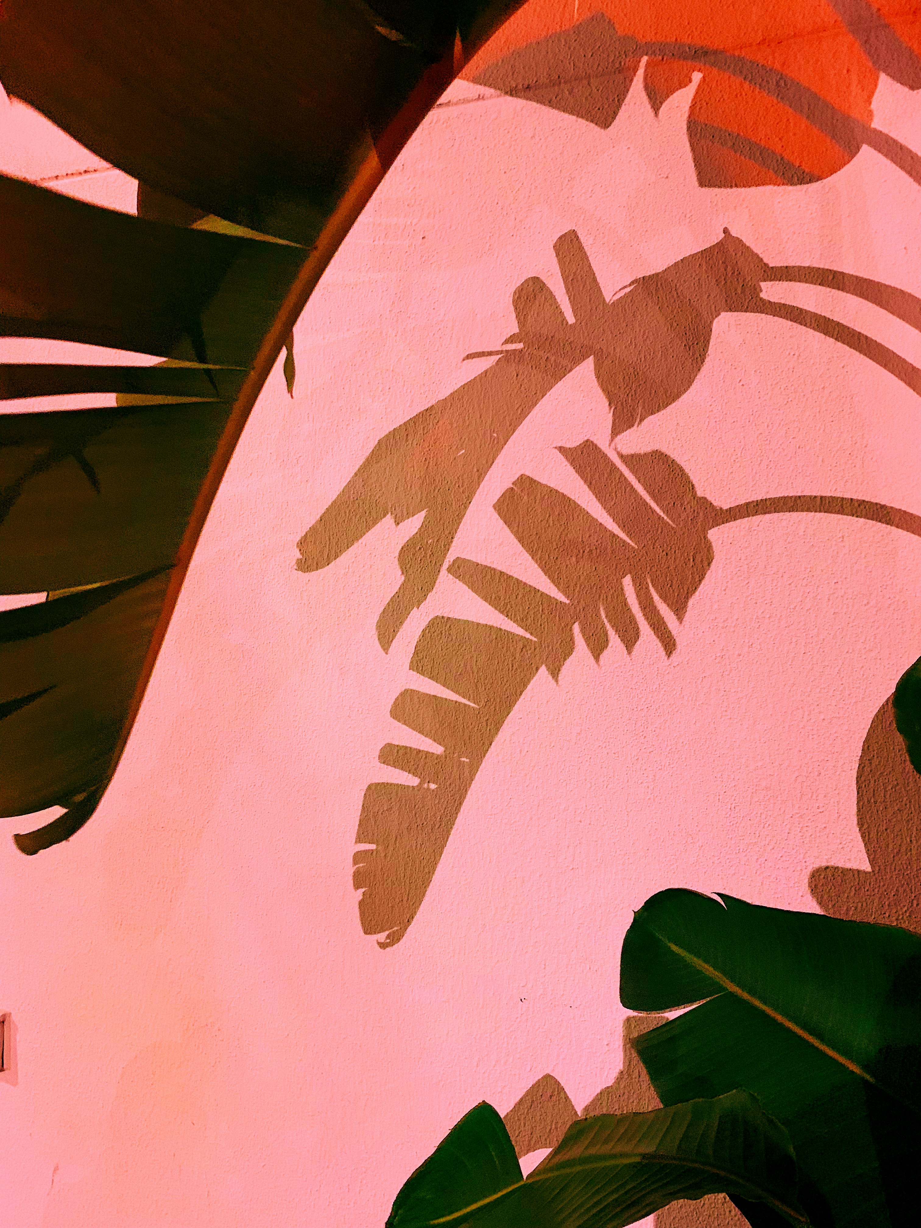 Dynamic picture of a cyclist riding downhill