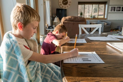 two children working at home illustrating homeschooling