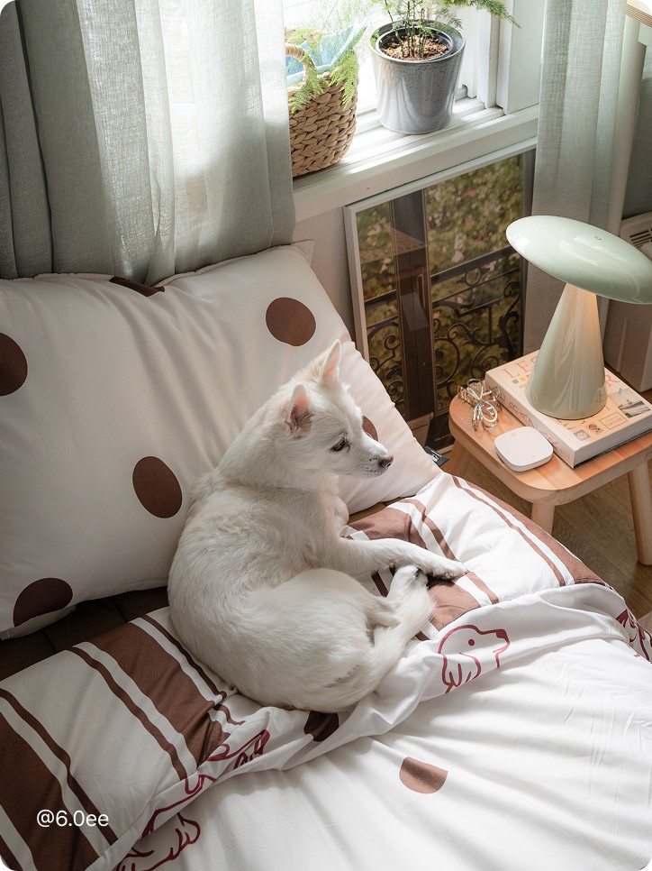 Oiseaux 극세사 담요