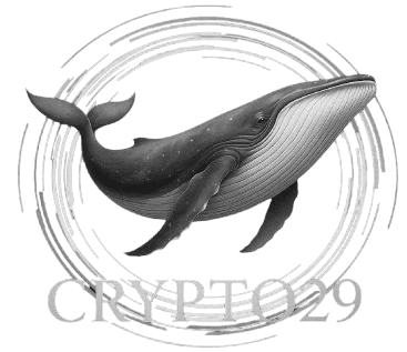 Windows Logo: Microsoft Operating System