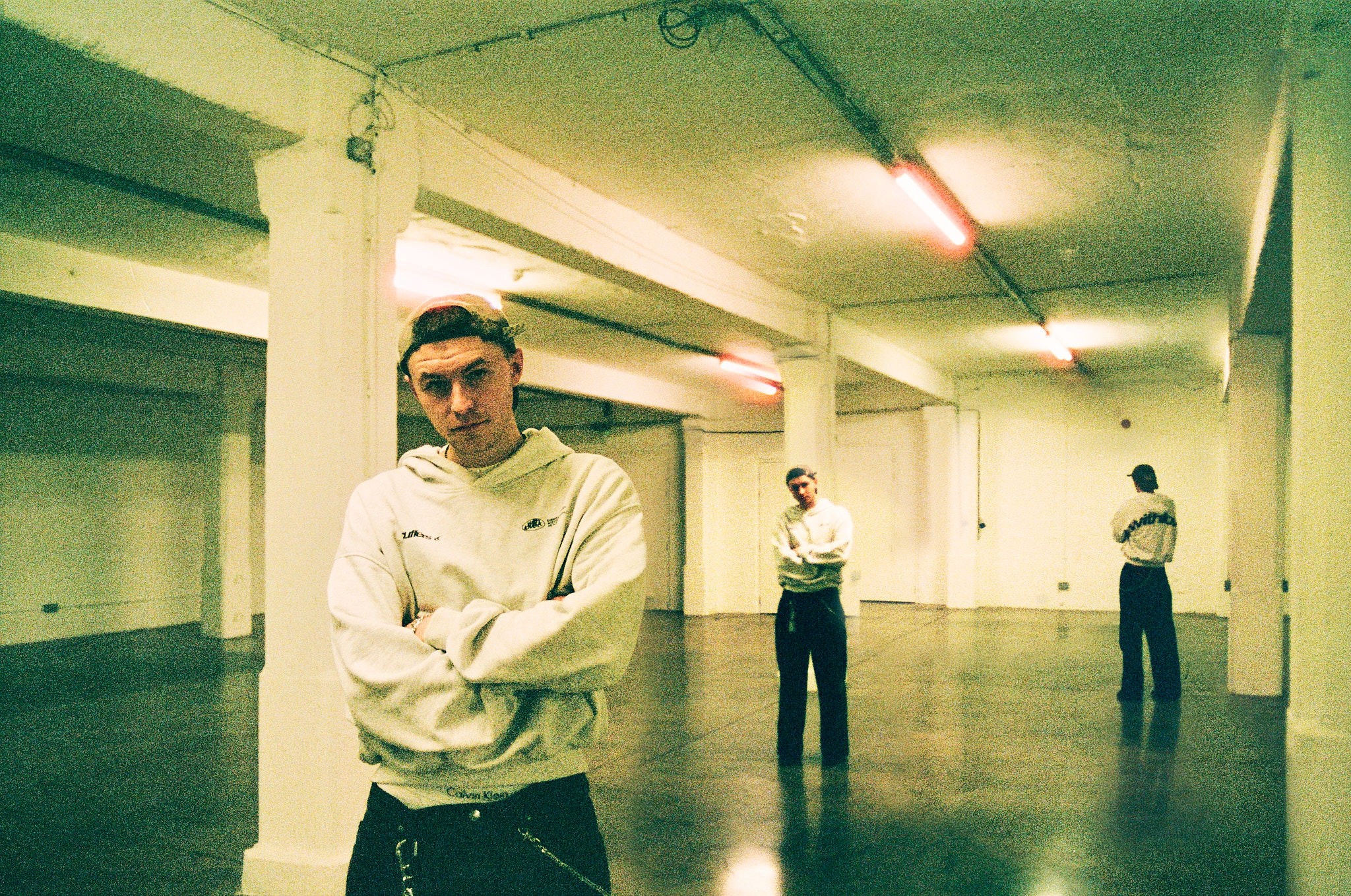 Various dried flowers and plants arranged on a light background.