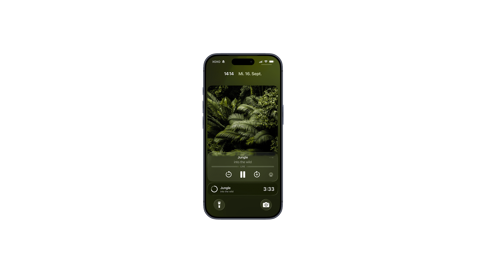 Showcase image