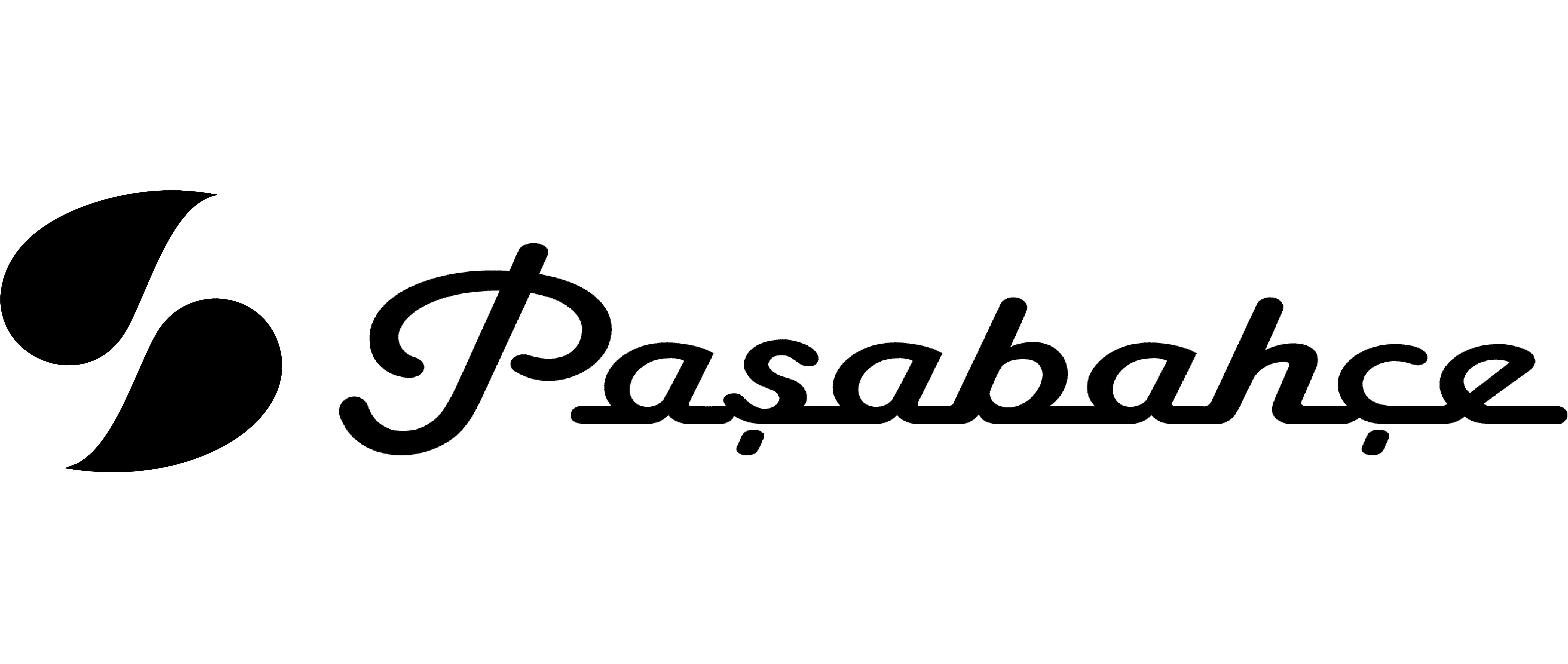 Paşabahçe-Referans-Logosu-BBCo-Studio