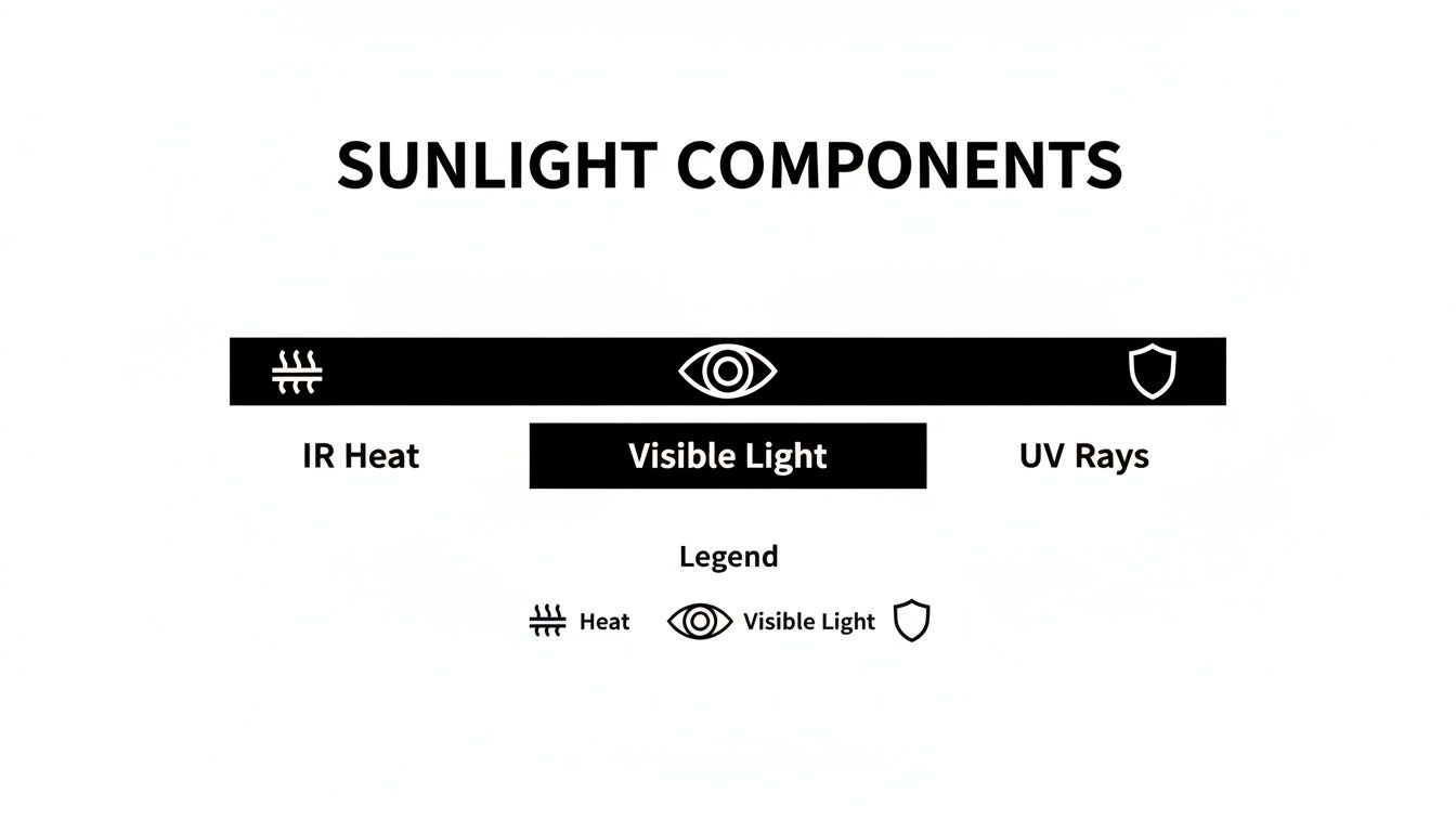 Diagram illustrating the components of sunlight, including IR heat, visible light, and UV rays with icons.