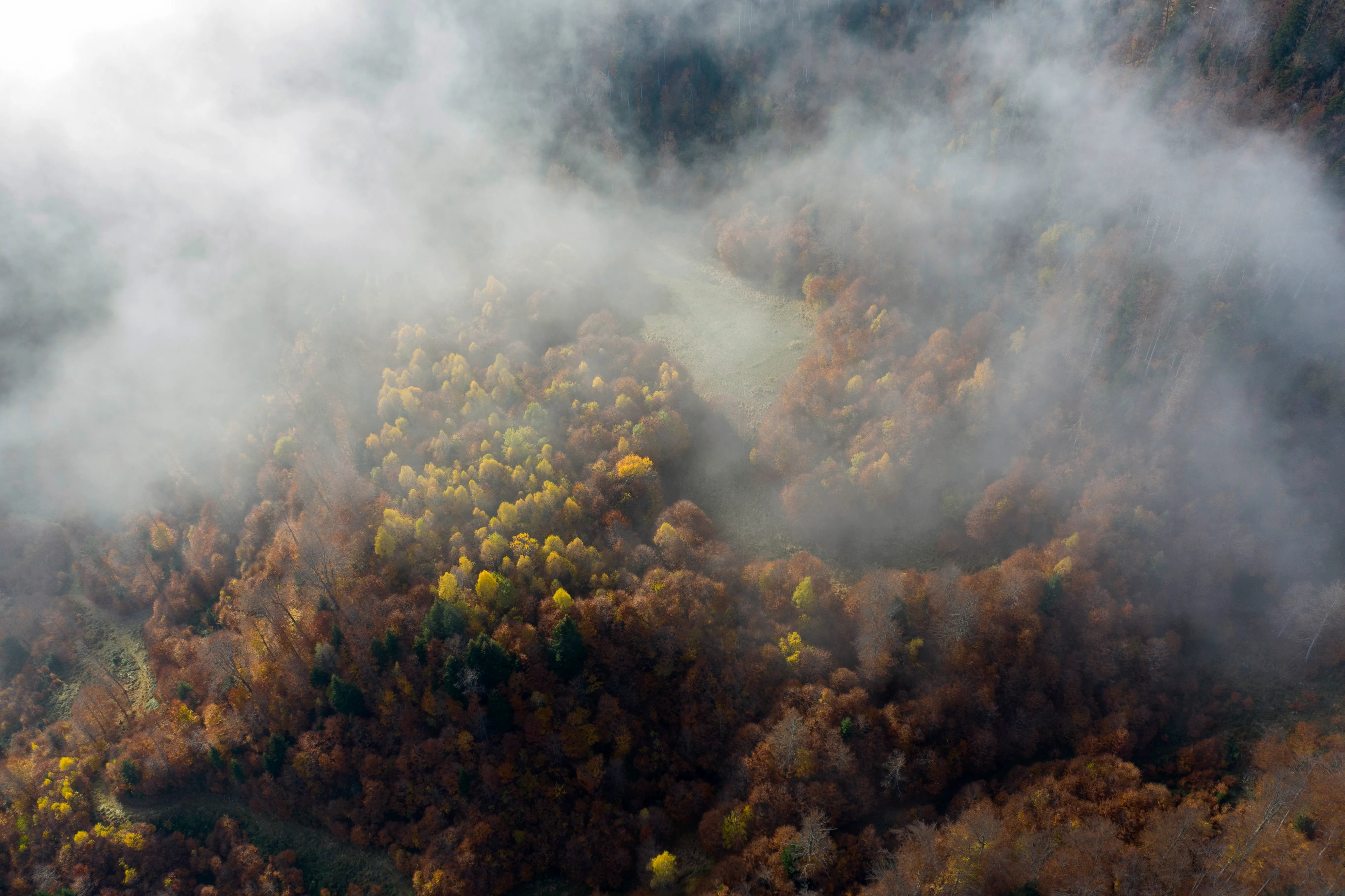 Foggy mounation images in top view