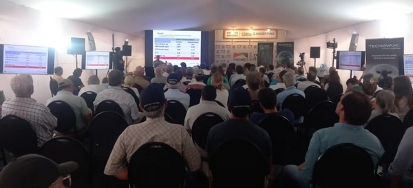 “Con marmoleo se puede ganar hasta 20% más”: el mensaje de un nutricionista para la ganadería argentina - Image 3