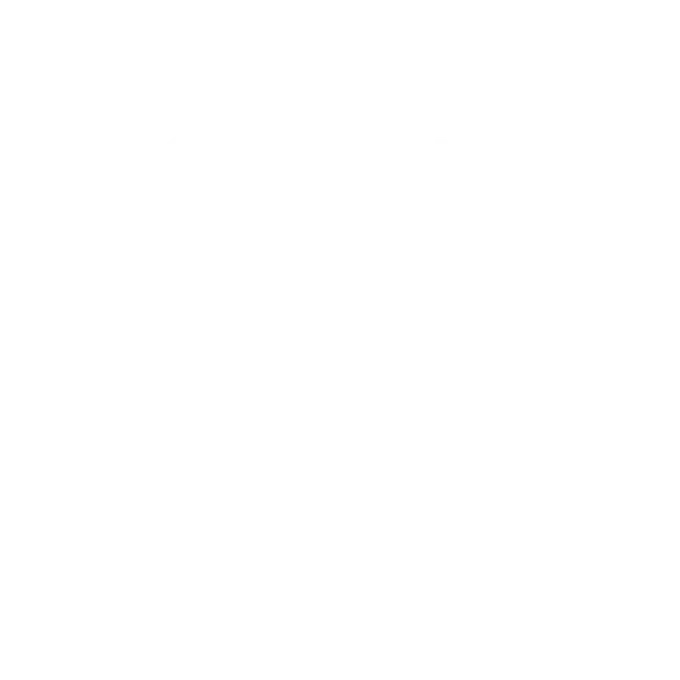 pansyer agency mouse click