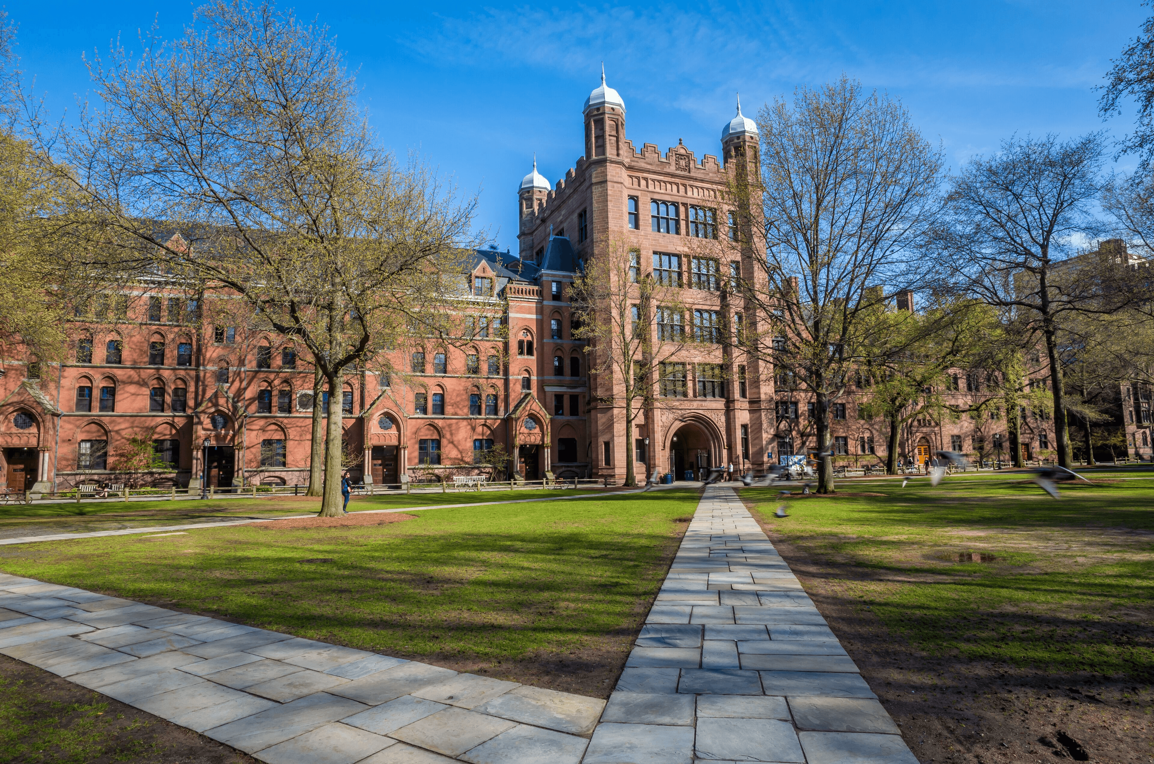 High school student reviewing academic research materials with Yale University campus in the background