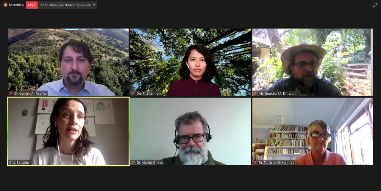 Painel on-line da conferência sobre reflorestamento, com seis participantes em videochamada