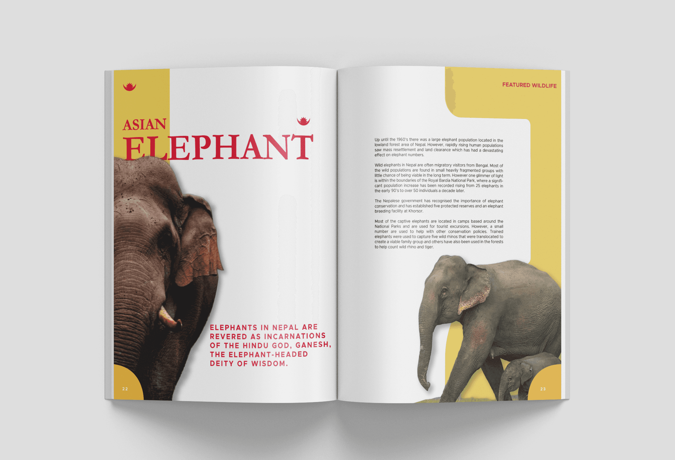 We engineered a "Clean-Tech" aesthetic that rejects industry clutter in favor of radical clarity, using generous white space to reduce cognitive load and physically demonstrate the brand's promise of simplicity.