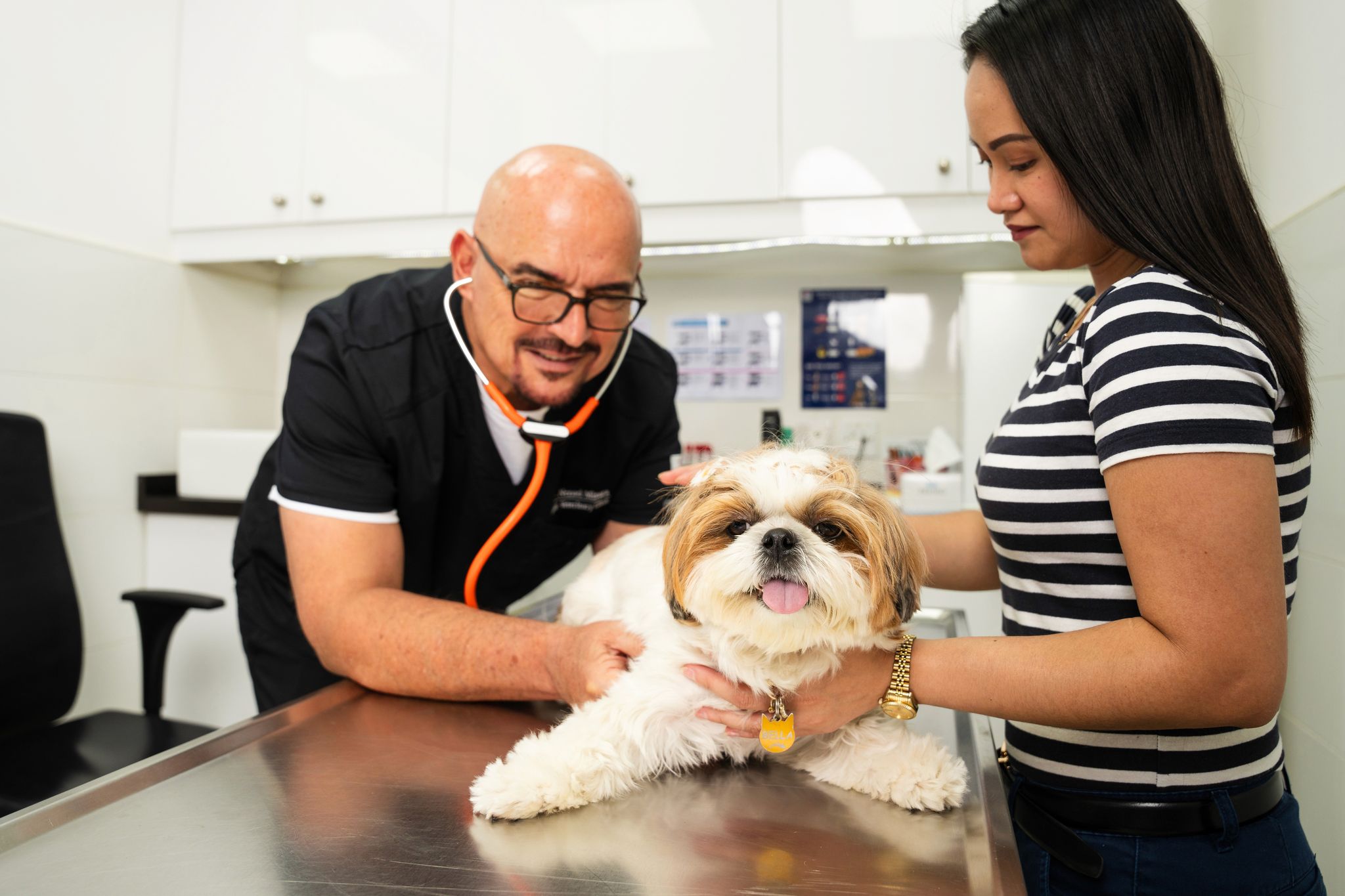 A veterinarian is checking a dog's breathing using a stethoscope. The pet owner is holding her dog.