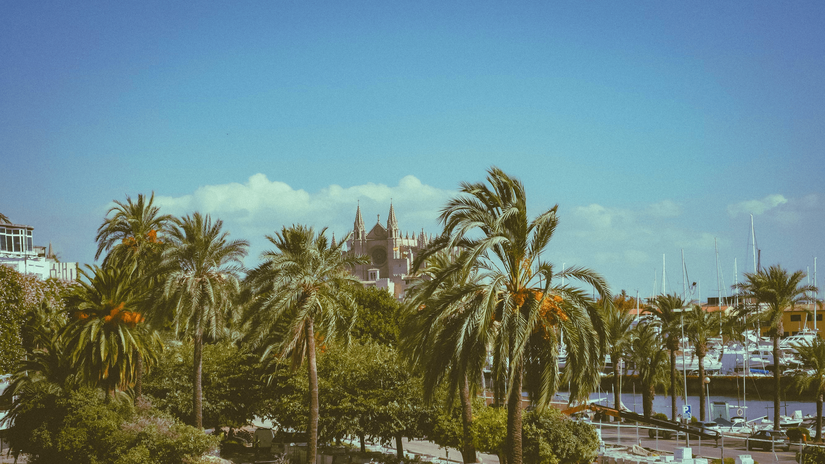 Dark theme house with plants outside