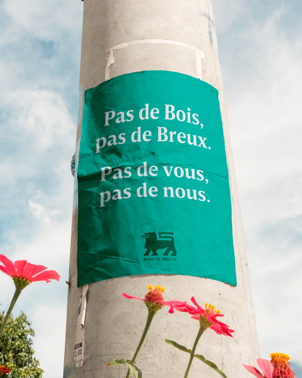 Orange outline of a smiley face with the text “Smiley Co” in orange serif type on a clean white background.