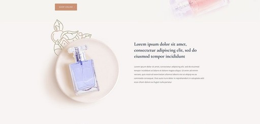 Aluxury Review: Health & Beauty E-commerce Business for Sale 